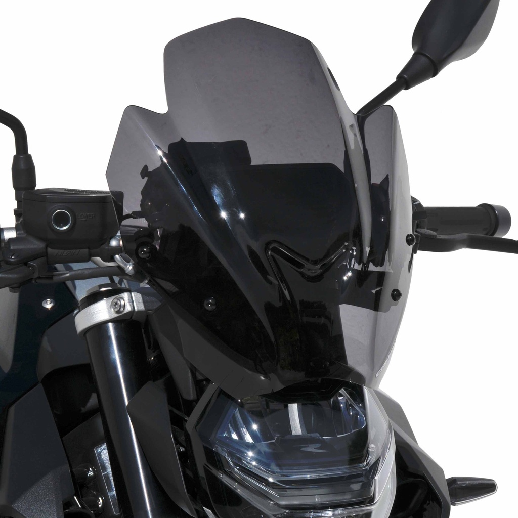 Cúpula deportiva para BMW F 900 R 2020-2021 (36 cm)