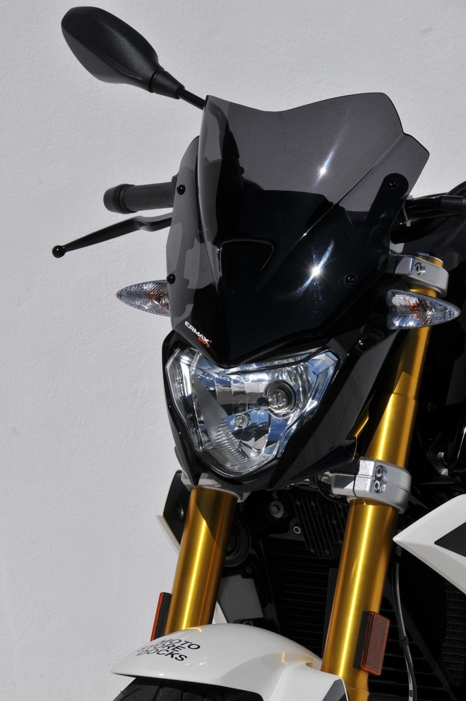 Cúpula deportiva para BMW G 310 R 2017-2021 (30 cm)