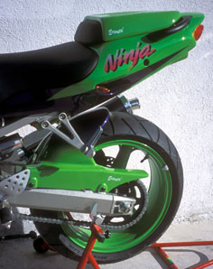 Rear fender for Kawasaki ZX9 R 2000-2001