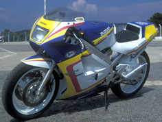 Cúpula tamaño original para RGV 250 1989-1990