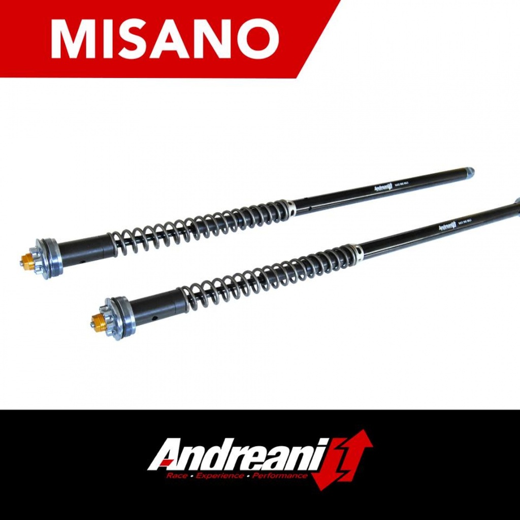 Andreani Cartridge Misano Harley Davidson V-ROD Nightroad special 110/HD12