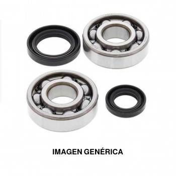 Bearings and seals kit 2T Minarelli Scooter 6204 TN9 (C4)