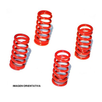 Clutch spring set MVT Derbi Senda