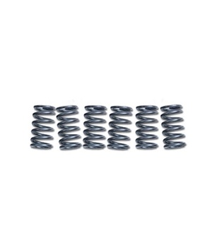 [CSK099] Clutch springs for KAWASAKI ZX6 RR (6 Pieces per Kit)