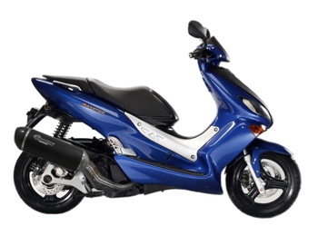[JC601ESTSPTCC] Exhaust Sport Carbon catalyzed & homologated for Yamaha Majesty 125cc