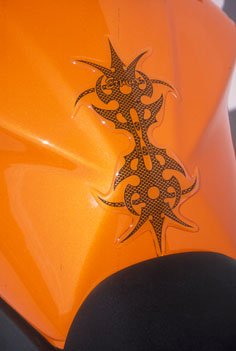 [870535005] Tribal 2 deposit protection