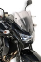 Cúpula deportiva para Kawasaki Z750 2007-2012 (Look Z1000)