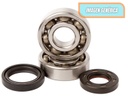 Crankshaft bearing and seals kit for Suzuki RM 250 1989-1993