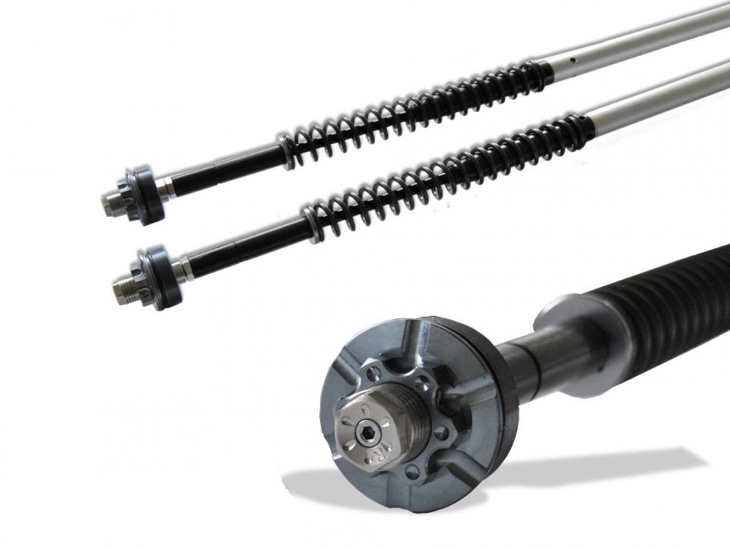 [110/HD10] Andreani Cartridge Misano Harley Davidson V-ROD 110/HD10