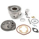 Complete engine kit for MINARELLI Horizontal LC Ø47.6