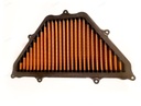 Filtro de aire SPRINT FILTER PM173S