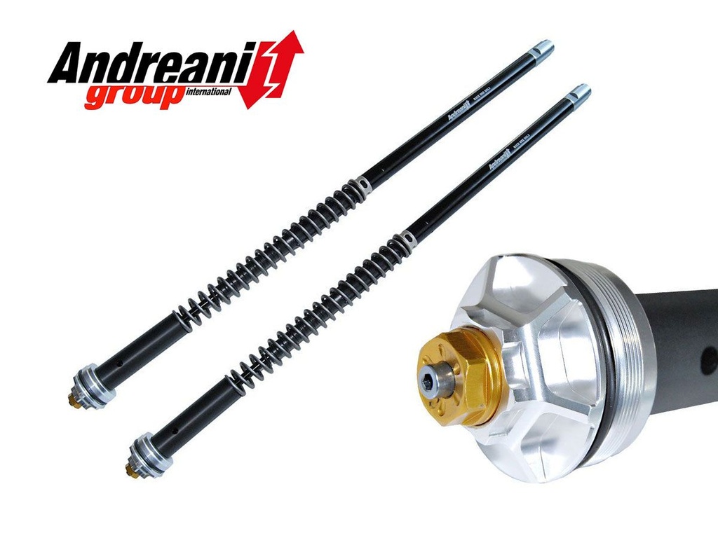 [105/W27E] Cartridge kit Andreani fork MISANO EVO BMW R 2018-21 105/W27E