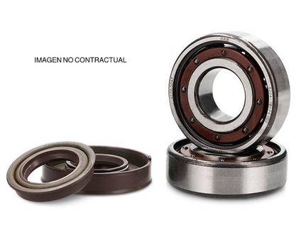 [COJ-6206RSI] Crankshaft bearing 6206RSI (30 X 62 X 16)